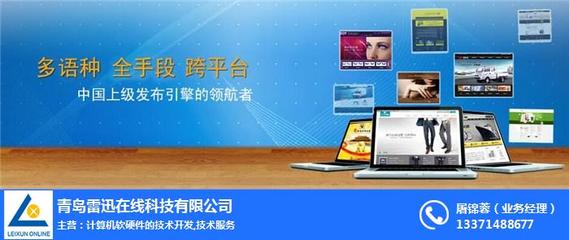 雷迅在线图 郑州网站建设与计算机软硬件技术开发